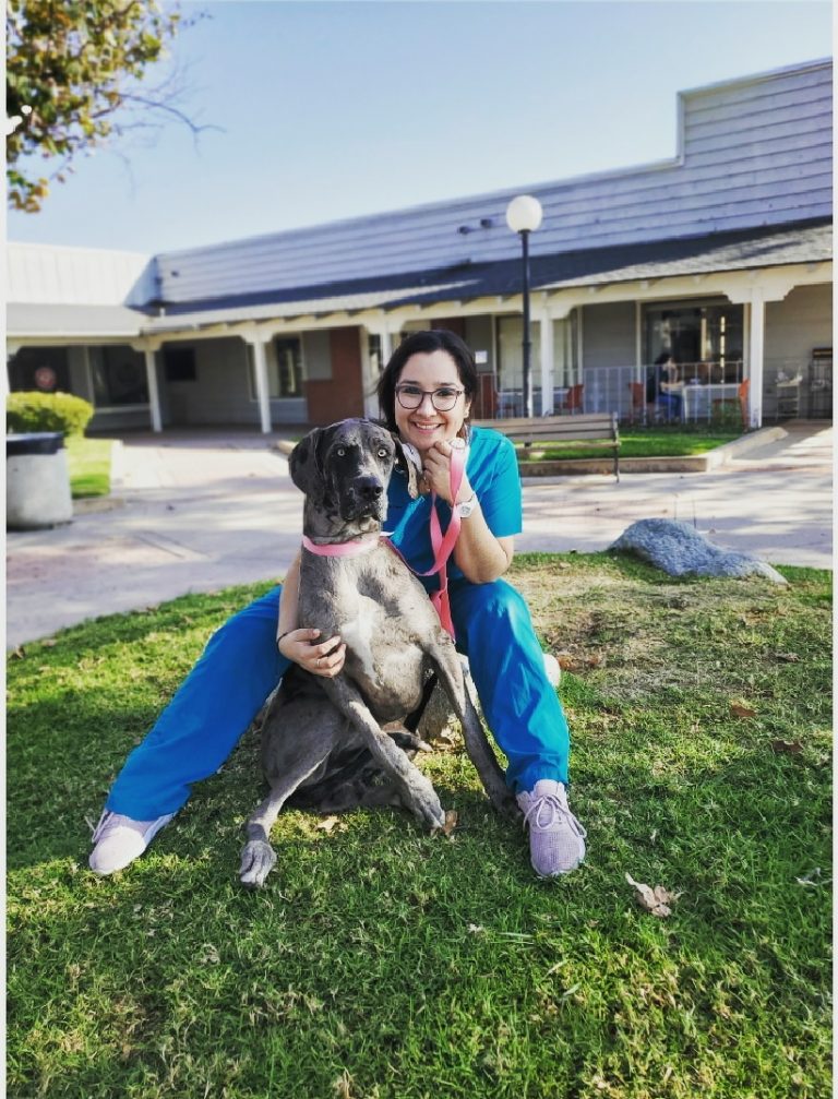 Our Team Bonita Pet Care Animal Hospital Bonita California